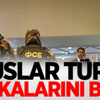Üzerine Düştüğü Kadın Hastanelik Oldu