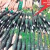 ABD’nin YPG'ye verdiği silahlar PKK'da çıktı ABD’nin YPG'ye verdiği silahlar PKK'da çıktı