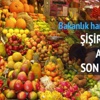 Meyve sebzeye TMO modeli