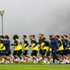 Fenerbahçe - Boluspor maçı ne zaman saat kaçta hangi kanalda?