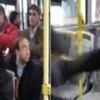 Koyunlara korkunç işkence Koyunlara korkunç işkence