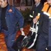 8 yaşındaki Gazi'nin feci ölümü 8 yaşındaki Gazi'nin feci ölümü