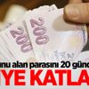 20 günde yüzde 133 kazandırdı
