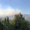 Biga da orman yangını