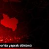 Manisaspor da yaprak dökümü Manisaspor da yaprak dökümü