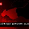 "Altın Kulaçlar Soracak, Şehitkamilliler Cevaplayacak" ...