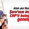 CHP hayvan hakları genelgesi yayınladı