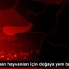 Av ve yaban hayvanları için doğaya yem bırakıldı Av ve yaban hayvanları için doğaya yem bırakıldı