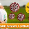 Anne karnındaki bebekler ikinci haftadan itibaren Covid-19’a yakalanabilir Anne karnındaki bebekler ikinci haftadan itibaren Covid-19’a yakalanabilir