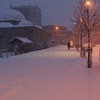 Erzurum'da, engelli ve hamilelere kar izni Erzurum'da, engelli ve hamilelere kar izni