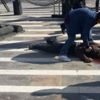 Truva Atı’ndan düşen adam öldü