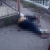 Taburcu edildiği hastanenin bahçesinde ölü bulundu