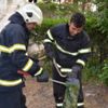 Site bahçesinde yılan operasyonu Site bahçesinde yılan operasyonu