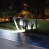 Kavgayı ayırmak isteyen gece bekçisi yaralandı Kavgayı ayırmak isteyen gece bekçisi yaralandı