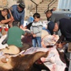 Türkiye'den Kurban Bayramı Fotoğrafları