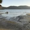 Muğla'da deniz suyu 50 metre çekildi... Uzmanından 'deprem habercisi' iddialarına cevap