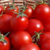 İşte domatesin ucuzlayacağı tarih İşte domatesin ucuzlayacağı tarih