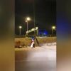 Karantinadan levha kılığında kaçtı Karantinadan levha kılığında kaçtı