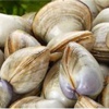 Avrupa'ya 'cik cik' ihracatı