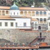 Patron şokta Patron şokta