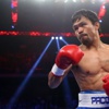 Mayweather'a sert cevap! Mayweather'a sert cevap!