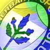 Fenerbahçe Andre Castro ile anlaşmaya vardı Fenerbahçe Andre Castro ile anlaşmaya vardı