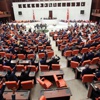 Seçimin yenilenmesi formülü