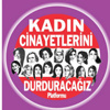 Erkan Oğur, Birsen Tezer...