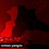 Edirne de orman yangını Edirne de orman yangını
