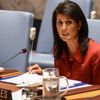 ABD'nin BM daimi temsilcisi Haley: Türkiye, Suriye konusunda, arkasında olduğumuzdan emin olmalı