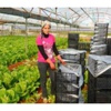 Suriyeliler Antalya'dan Gitmek İstemiyor Suriyeliler Antalya'dan Gitmek İstemiyor