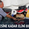 Son nefesine kadar elini bırakmadı