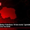 Eskişehir Şeker Fabrikası 10 bin tonla "günlük pancar ...