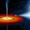 Cygnus nedir Cygnus nedir