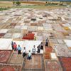 Milyonluk halı ve kilim tarlası Milyonluk halı ve kilim tarlası