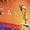 Cannes'da 'Türkiye' gecesi