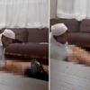 "Cinci hoca" hakkında karar "Cinci hoca" hakkında karar