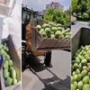 ABD heyeti Türkiye’ye geliyor ABD heyeti Türkiye’ye geliyor