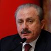 Mustafa Şentop'tan sığınmacılara ateş açan Yunanistan'a kınama Mustafa Şentop'tan sığınmacılara ateş açan Yunanistan'a kınama