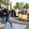 241 komando, kurban kesilerek Suriye’ye uğurlandı
