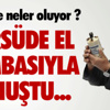 At yarışları At yarışları
