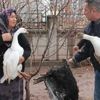 Hindileri çalınan kadına devlet desteği