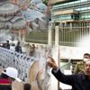 Siyasetin gerilimini artıran gündem Siyasetin gerilimini artıran gündem