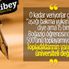 Fikirci Bey yazdı: YENİ ANAYASA