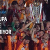 Kupa aslanı Kupa aslanı