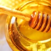 Türkiye'nin bal ihracatı 4 yılda katlandı