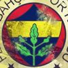 Fenerbahçe basketbolda kombine rekorunu kırdı Fenerbahçe basketbolda kombine rekorunu kırdı