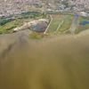Kuşların yuvasıydı balıkların mezarı oldu