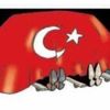 Almanların yerli otomobil hazımsızlığı