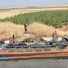 Bağ evinden PKK cephaneliği çıktı Bağ evinden PKK cephaneliği çıktı